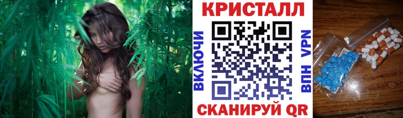 Amphetamine Розовый Новосокольники