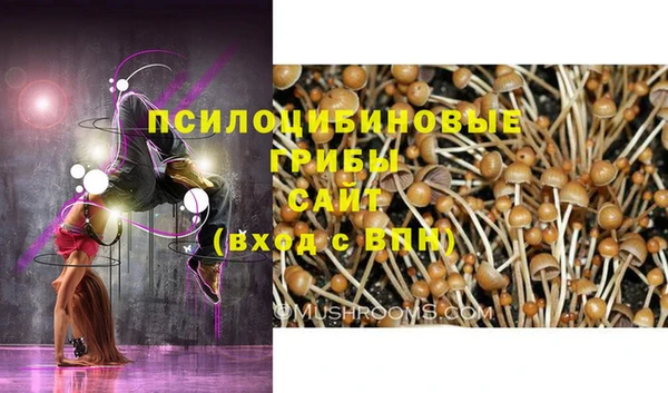бошки Верхнеуральск