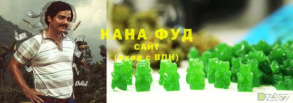 гашик Бородино
