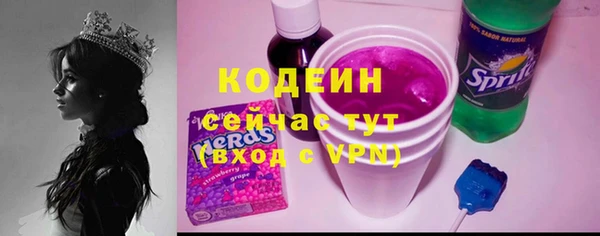 мдпв Верея