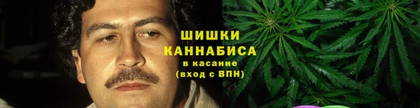 мдпв Верея