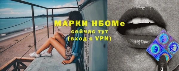 мдпв Верея
