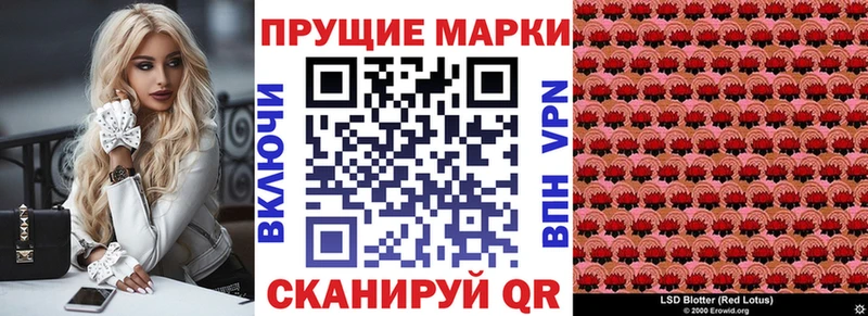 OMG как войти  Новосокольники  Марки N-bome 1,5мг 