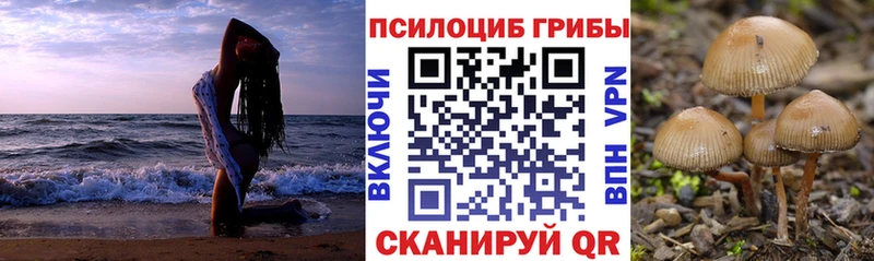 Галлюциногенные грибы мухоморы  купить наркотики сайты  Новосокольники 