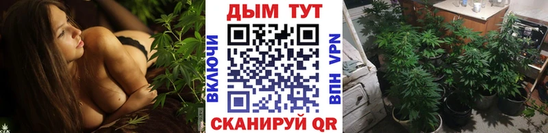 где можно купить Новосокольники Марихуана MAZAR